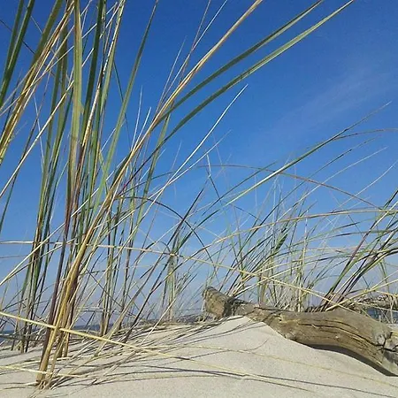 U Rybaka * ウェバ