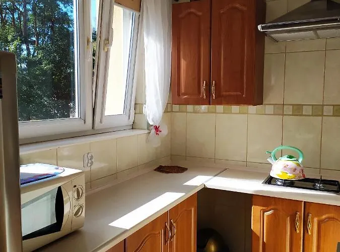 Lägenhet U Rybaka Łeba